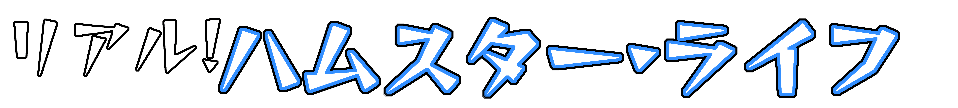 リアル! ハムスター・ライフ